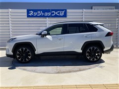 RAV4 G