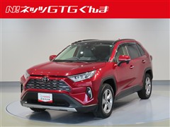 RAV4 G