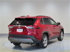 RAV4 G