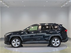 RAV4 G