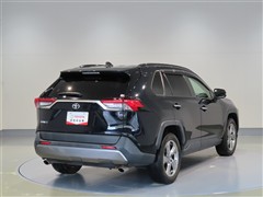RAV4 G