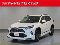RAV4 ハイブリッドG