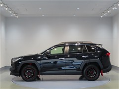 RAV4 アドベンチャーオフロード