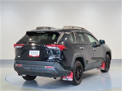 RAV4 アドベンチャーオフロード