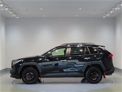 RAV4 アドベンチャーオフロード
