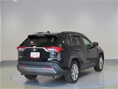 RAV4 G Zパッケージ
