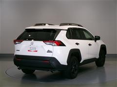 RAV4アドベンチャーオフロード2