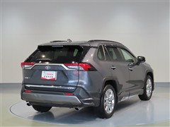 RAV4 G Zパッケージ