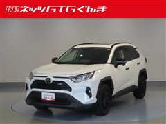 RAV4 X