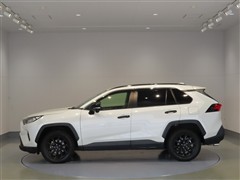 RAV4 X