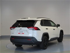 RAV4 X