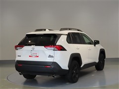 RAV4 HVアドベ オフロード2