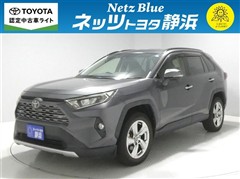 RAV4 G