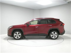 RAV4 G