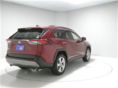 RAV4 G