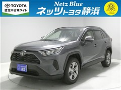 RAV4 X