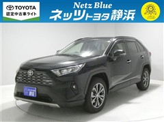 RAV4 G