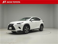 NX300h バージョンL