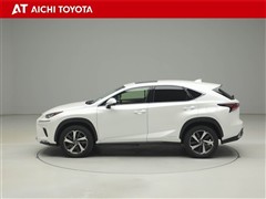 NX300h バージョンL