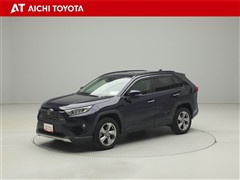 RAV4 G