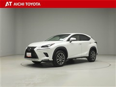 NX300h バージョンL