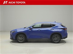 NX350h ヒョウジュン