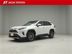 RAV4 G