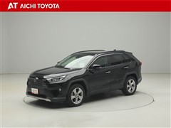 RAV4 G