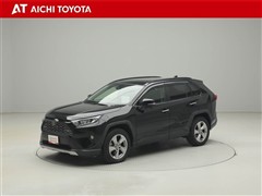 RAV4 G