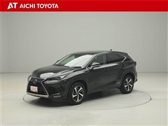 NX300h バージョンL