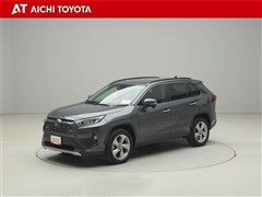 RAV4 G