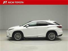 RX300 バ-ジョンL