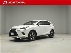 NX300h スパイス&シック