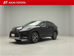 RX300 ヒョウジュン