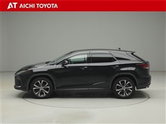 RX300 バ-ジョンL