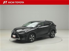 NX300h Iパッケージ