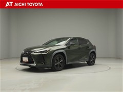 UX250h バージョンC