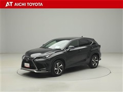 NX300 スパイス&シック