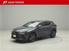 NX250 バージョンL