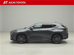 NX250 バージョンL