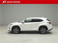 NX300h Iパッケージ