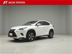 NX300 Iパッケージ