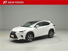 NX300 Iパッケージ