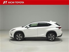 NX300 Iパッケージ