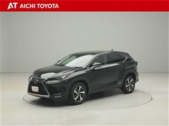 NX300h バージョンL