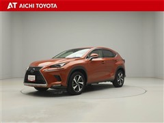 NX300h Iパッケージ