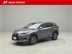 NX300h Iパッケージ
