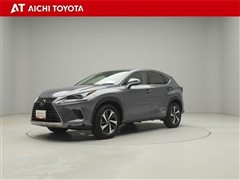 NX300h Iパッケージ
