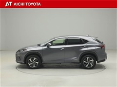 NX300h Iパッケージ