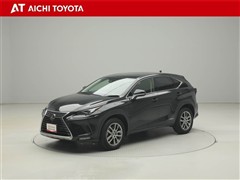 NX300h バージョンL